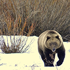 EcoTour Adventures - First Class Tours