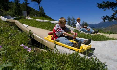 Alpine Slide Snow King Ski Resort Jackson Wyoming Kids Family
