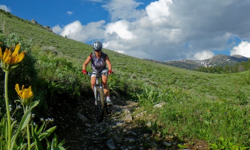 Grand Teton Mountain Bike Trail