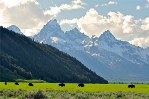 EcoTour Adventures - Maximize Your Park Experience