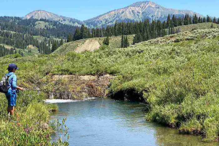 Fish The Fly — Jackson, WY