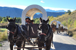 Jackson Wyoming Chuckwagon Dinners / Shows - AllTrips
