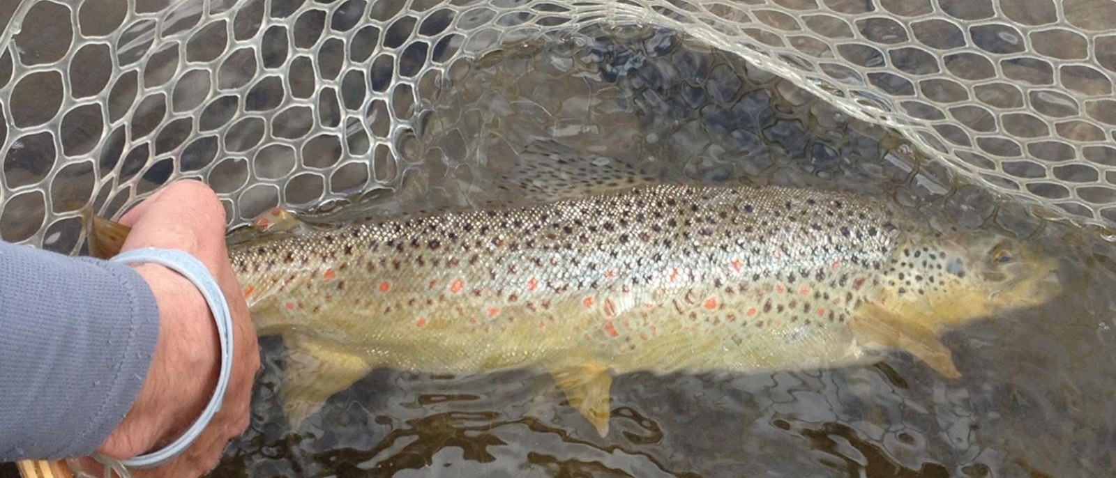 Fishing guides.