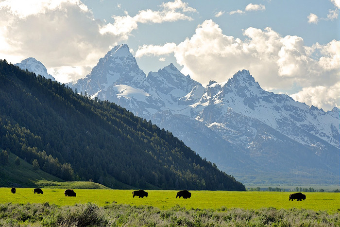 EcoTour Adventures — , 