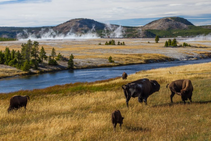 EcoTour Adventures — , 