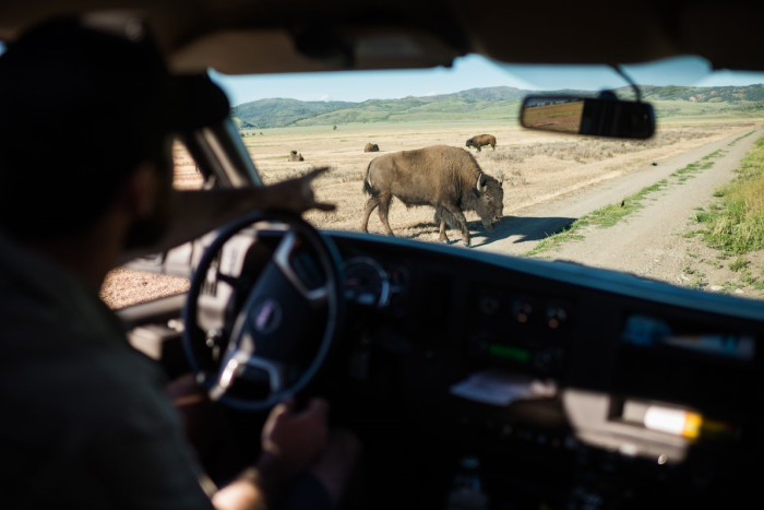 EcoTour Adventures — , 