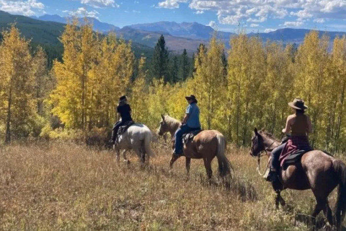 Teton Wilderness Tours LLC — , 
