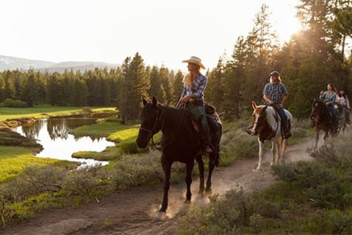 Grand Teton Lodge Company — Moran, WY