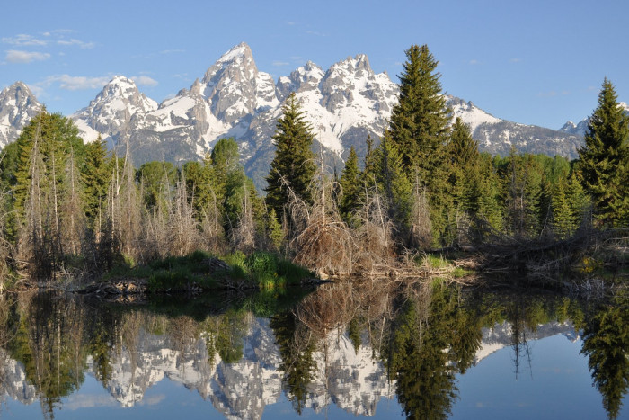 American West Tours — Jackson, WY