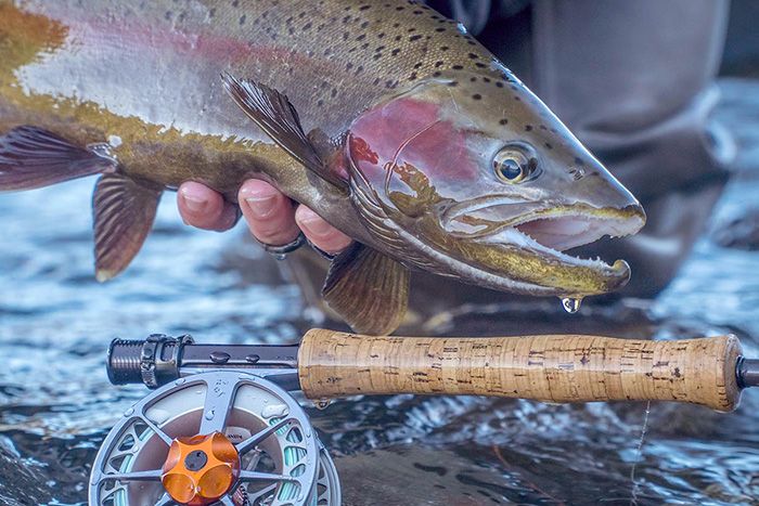 Mangis Fly-Fishing Guides — Wilson, WY