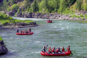 Jackson Hole Whitewater - rafting for everyone