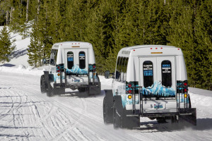 Scenic Safaris - Yellowstone Snowcoach tour