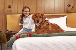 The Virginian Lodge | Dog Friendly lodging