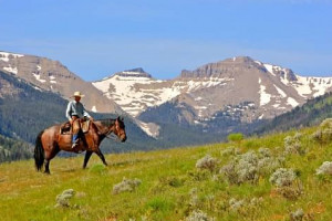 Red Rock Ranch | Openings the week of June 14-20