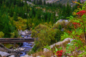 All-Inclusive Grand Teton Park Adventures from OBP