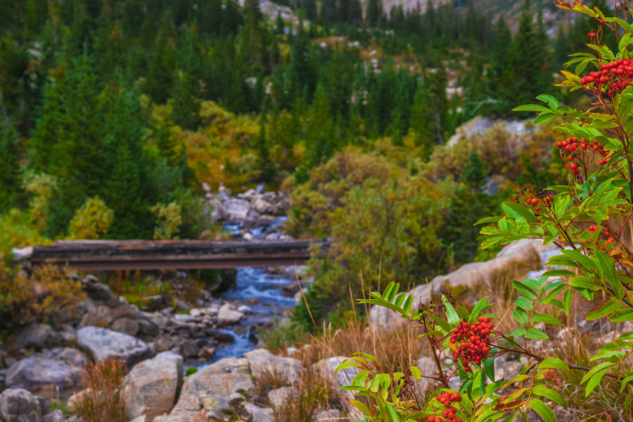 Off The Beaten Path — Bozeman, MT
