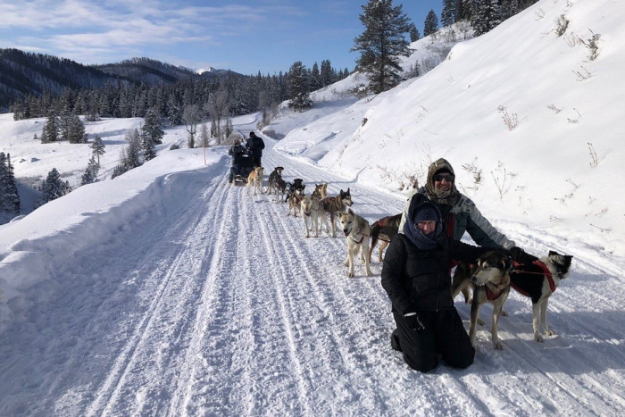 Jackson Hole Iditarod Sled Dog Tours — Jackson, WY