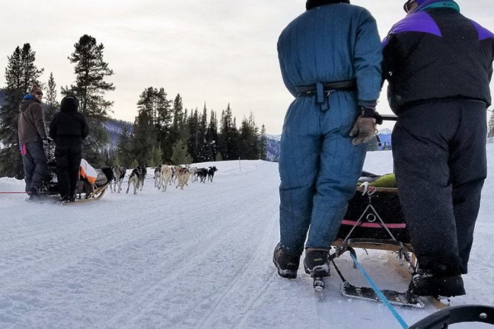 Jackson Hole Iditarod Sled Dog Tours — Jackson, WY