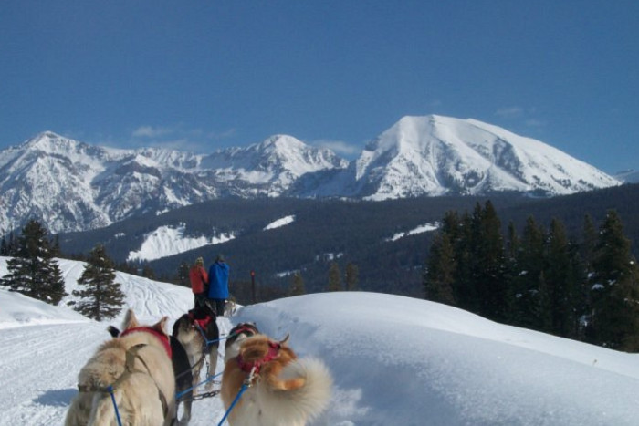 Jackson Hole Iditarod Sled Dog Tours — Jackson, WY