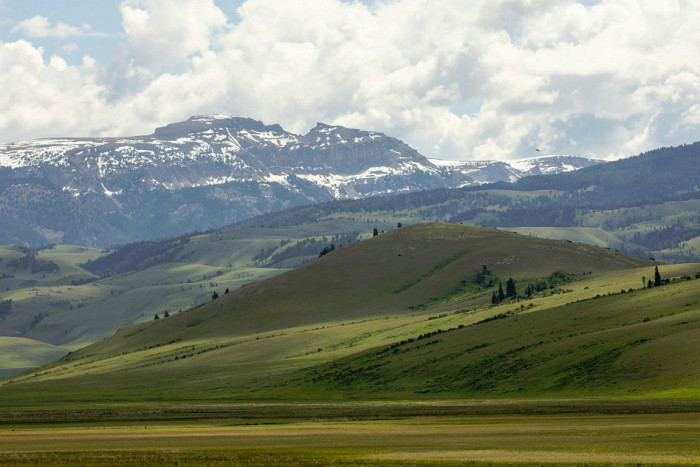 Flat Creek Inn — Jackson, WY