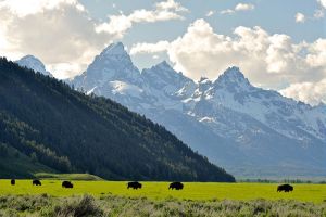 EcoTour Adventures — Jackson, WY