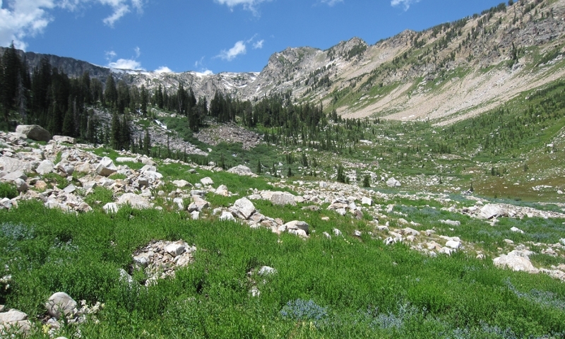North Fork of Cascade Canyon