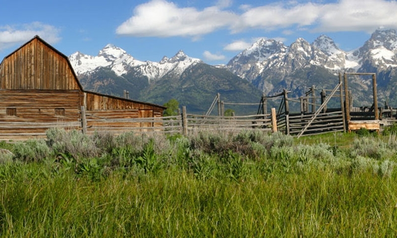 Mormon Row Grand Teton National Park Tetons