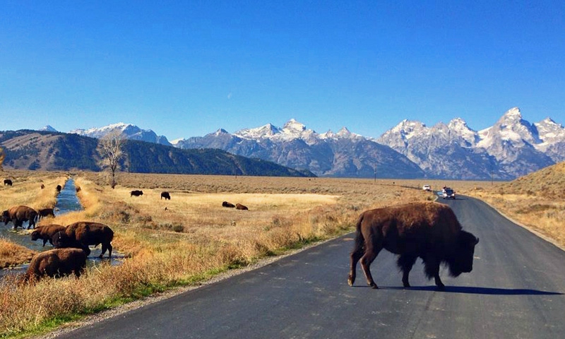 Grand Teton Routes
