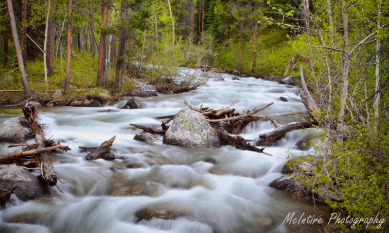 Lake Creek in Grand Teton National Park