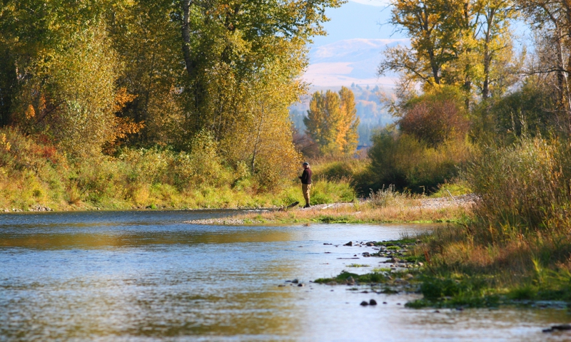 Fishing Grand Teton National Park Cottonwood Creek
