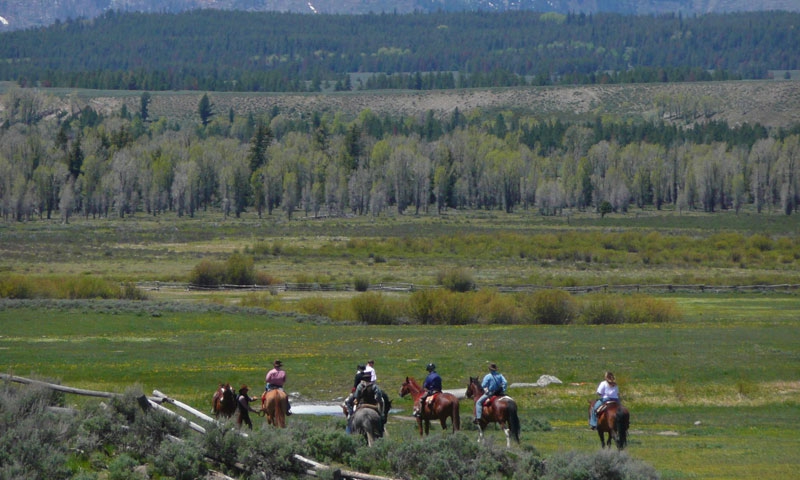 Horseback Riding Grand Teton National Park