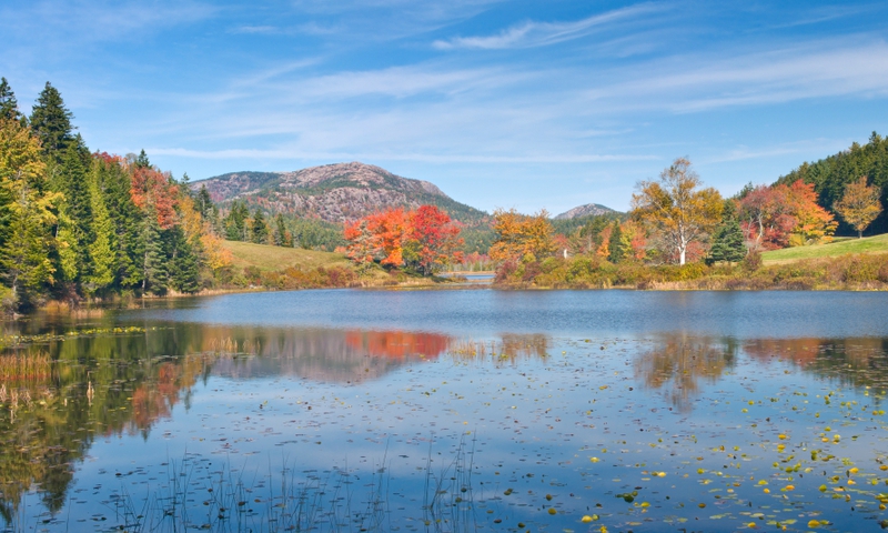 Long Pond Fall Foliage Acadia National Park Maine