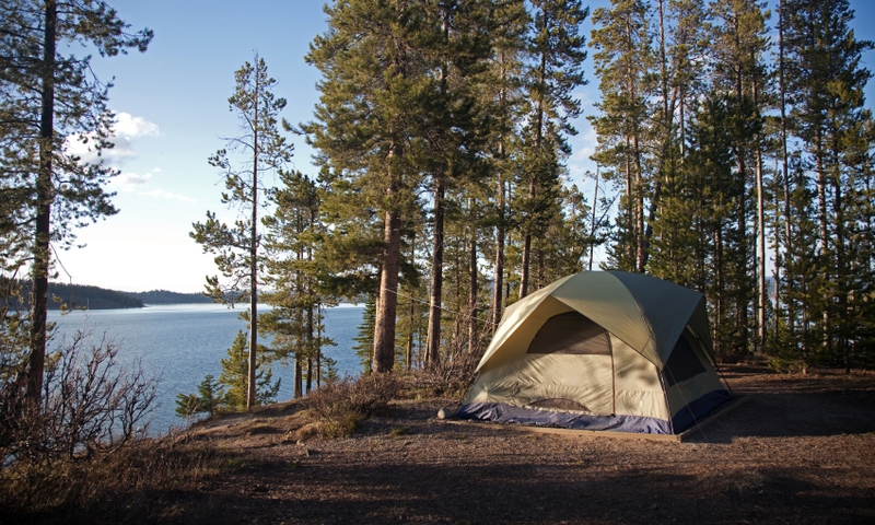 Grand Teton National Park Camping Tent Jackson Lake