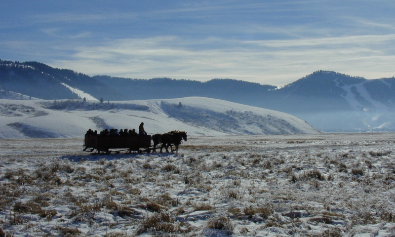 National Elk Refuge Jackson Wyoming