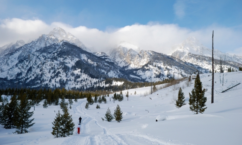 Snowshoeing Winter Grand Teton National Park