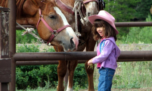 Activities For Kids
