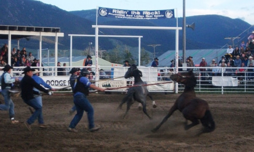 Rodeo