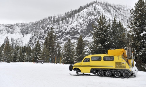 Winter Guided Tours