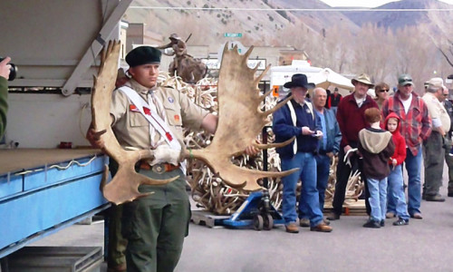Antler Auction