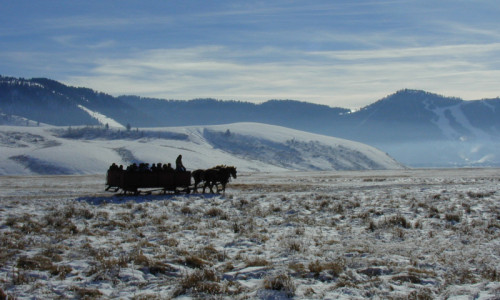National Elk Refuge