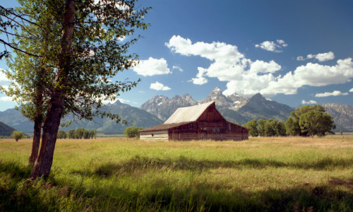 Mormon Row