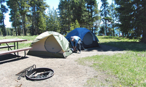 Park Campgrounds