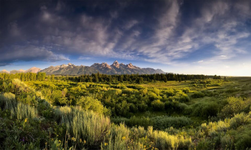 Teton Park Road
