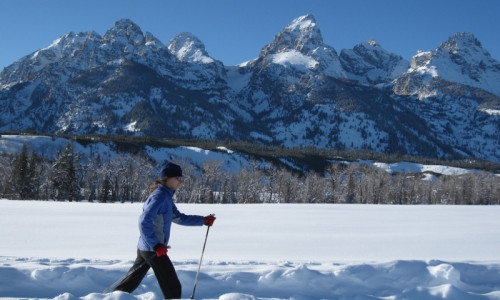 Cross Country Skiing