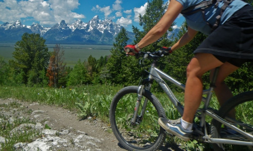 Biking & Bike Rentals