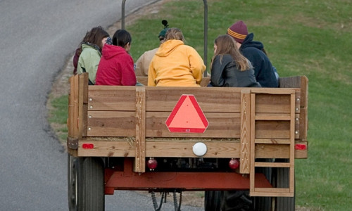 Wagon / Carriage Rides