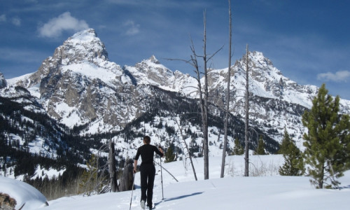 Winter Activities
