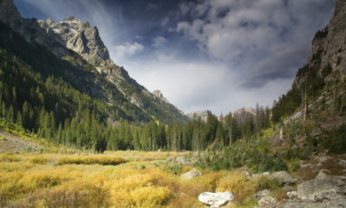 Cascade Canyon