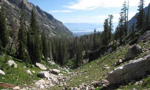 Teton Canyon
