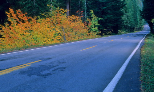 Car Rentals